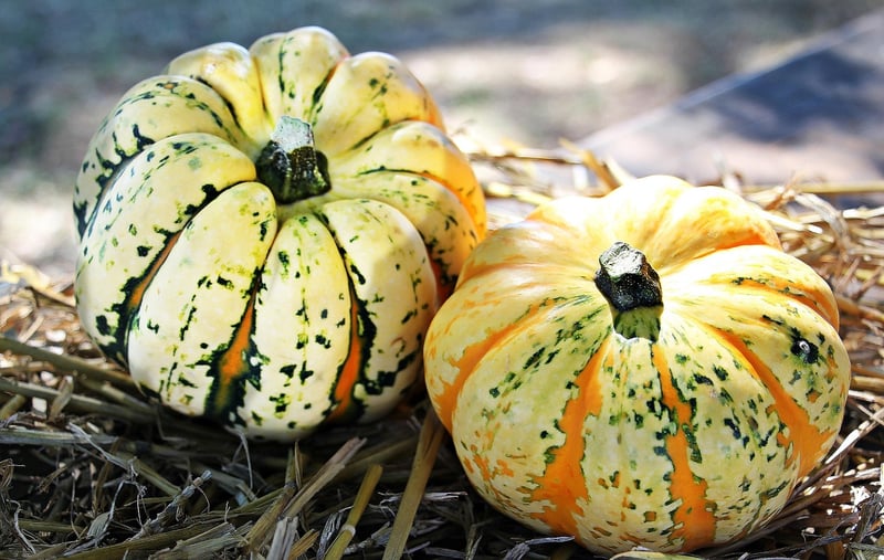 DIY Thanksgiving decorations
